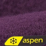 Aspen® Polar Fleece Preview